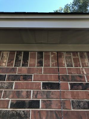 Exterior Painting in Houston, TX (2)