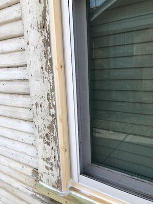 Before & After Exterior Painting in Houston, TX (The Heights) (7)