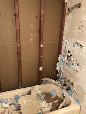 Bathroom Remodel in Spring, TX (1)